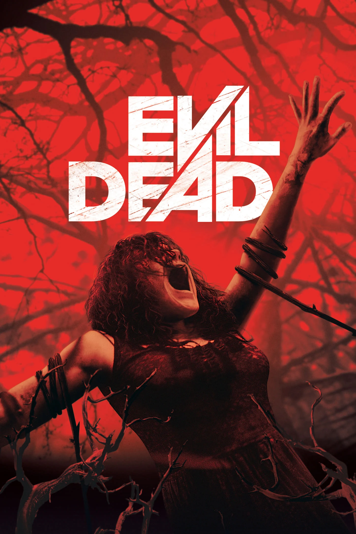 Evil Dead | Evil Dead (2013)